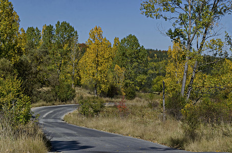 维托沙山道路、针叶林和落叶林的多彩秋季景观