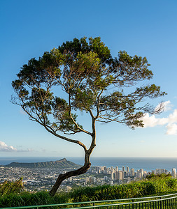 从瓦胡岛的坦塔罗斯俯瞰威基基和火奴鲁鲁的全景