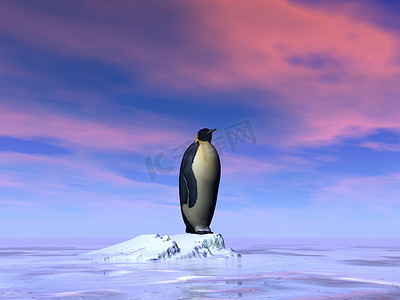 企鹅3d摄影照片_单帝企鹅 — 3D渲染