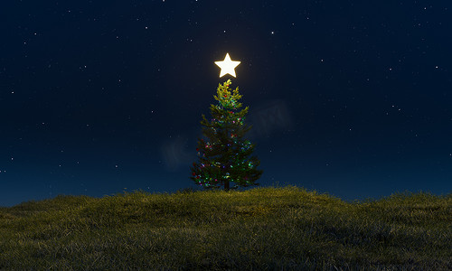 星光灿烂的夜晚的圣诞树