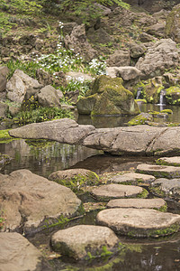 日本茶馆池塘石景苔藓