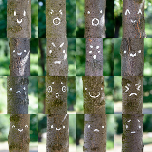 树上的笑脸
