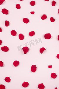 漂浮花瓣摄影照片_浅粉色背景上的红色玫瑰花瓣。