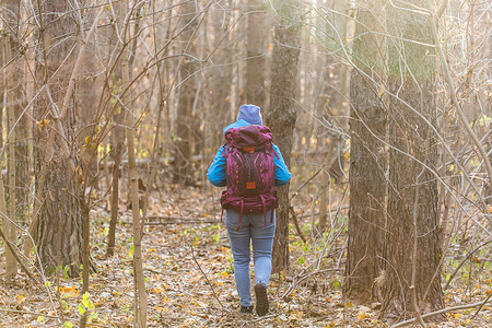 人与自然的概念-在森林里散步的旅行者女人，后视