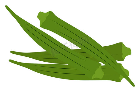 绿色秋葵，插图，白色背景上的矢量