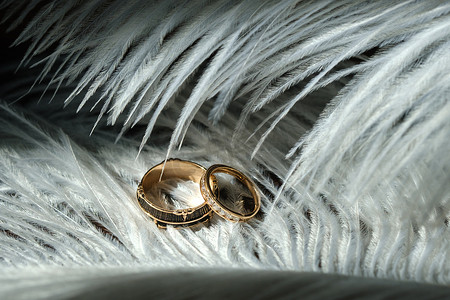 白色的羽毛中躺着两枚结婚戒指。