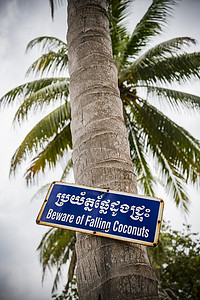 当心落摄影照片_当心落下的椰子，柬埔寨，亚洲