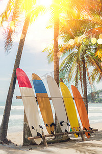 在椰子树旁边的许多冲浪板在夏天海滩有太阳光和蓝天背景。