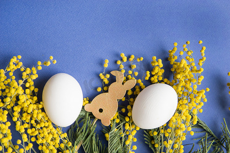 复活节背景、白鸡蛋和蓝色背景上的木野兔，装饰着含羞草花、平铺、顶视图、空白的文字空间。