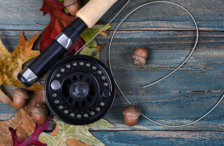 秋季钓鱼季节秋季装饰上的飞线轮和钓竿