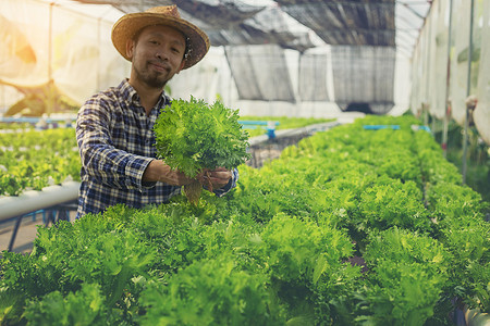 弘扬新时代摄影照片_新时代的农民在他的菜园里开心地笑着，农民，农业