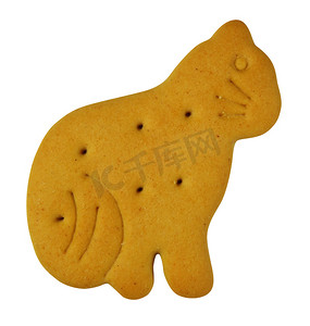 黄色动物摄影照片_动物造型饼干-猫