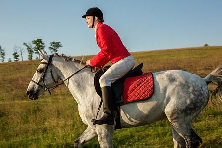 假面骑士龙骑摄影照片_骑着红马的女骑士。