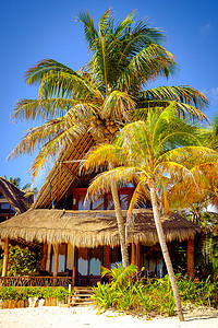 太阳和小屋摄影照片_海岸小屋和棕榈树的宁静场景