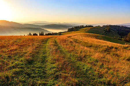 朝阳下摄影照片_喀尔巴阡山脉的山峰在朝阳的照耀下散发着金色的光芒。