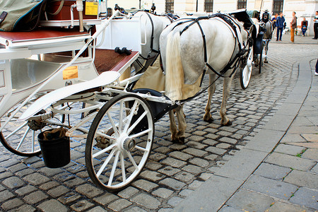 城市维护摄影照片_Veinna 清洁马匹维护（维修）设备