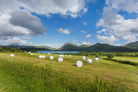 特殊景观摄影照片_典型的斯堪的纳维亚景观，有草地、山脉和装在特殊白色塑料袋中的稻草。