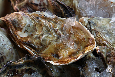 大生蚝摄影照片_冰上新鲜的大生牡蛎