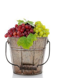 欧亚种葡萄摄影照片_一桶新鲜成熟的葡萄