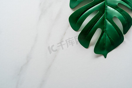 大理石婚礼背景图摄影照片_以绿色天然叶为框架装饰的白色调大理石纹理抽象背景的顶视图。以绿色天然叶为框架的白色调大理石纹理抽象背景的顶视图。