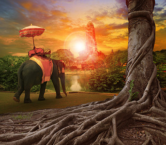 古伞摄影照片_泰国大象和王国伞在古宫塔，禁令