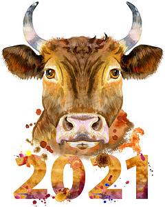 编号为 2021 的红牛水彩插图