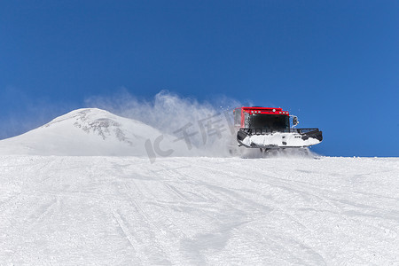 雪地猫在高山的斜坡上