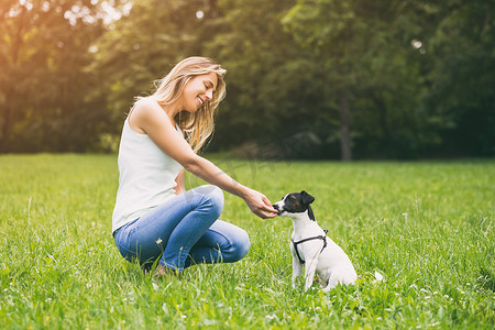 女人在大自然中喂养她的狗杰克罗素梗犬