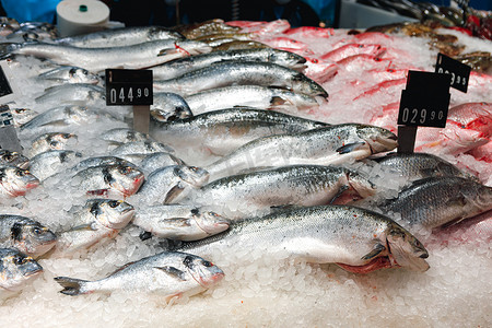 冰柜摄影照片_超市冰柜台上各种各样的鲜鱼