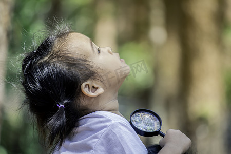 拿放大镜小女孩摄影照片_亚洲小女孩手拿着放大镜，仰望松树研究环境。