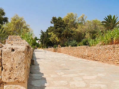 祭扫文明祭扫摄影照片_迦太基（Carthage），古迦太基文明的都城遗址。