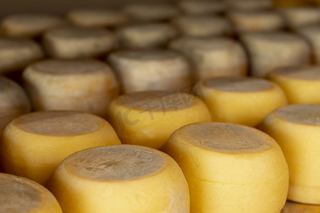 各种质朴的奶酪轮。