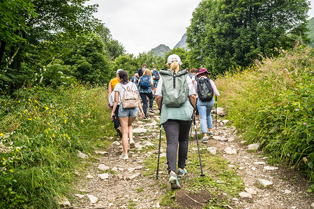 2020年7月26日，俄罗斯栋巴伊：一群人在树木繁茂的丘陵地区徒步旅行。