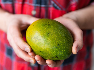 身穿格子呢格子衬衫的男人拿着 Mangifera indica，俗称芒果。