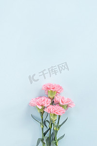 蓝色礼物摄影照片_美丽、优雅的粉红色康乃馨花在明亮的浅蓝色桌子背景上，母亲节鲜花礼物的概念，顶视图，平躺，头顶
