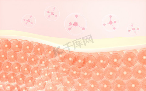 产品特效摄影照片_皮肤细胞和分子结构3D渲染。
