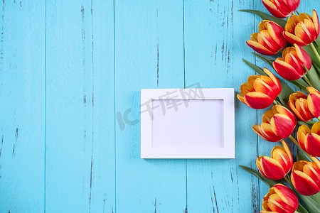 郁金香花束、相框、母亲节概念 — 美丽的红色、黄色花束、白色空白图片模板隔离在蓝色木质背景、顶视图、平躺