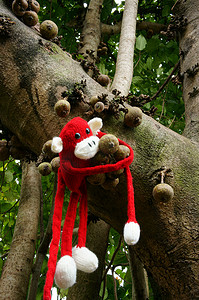 猴年摄影照片_针织猴子，象征2016年，猴年