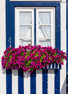 彩色窗户摄影照片_葡萄牙“Costa Nova do Prado”的彩色窗户。