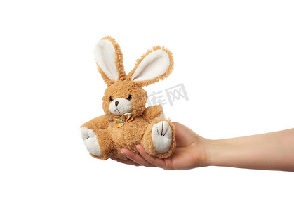 女手拿着一个棕色的小兔子玩具