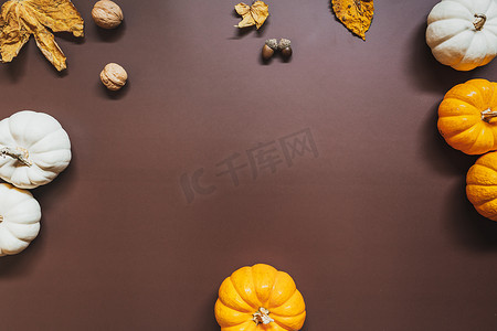 南瓜坚果摄影照片_感恩节快乐，桌上有南瓜和坚果