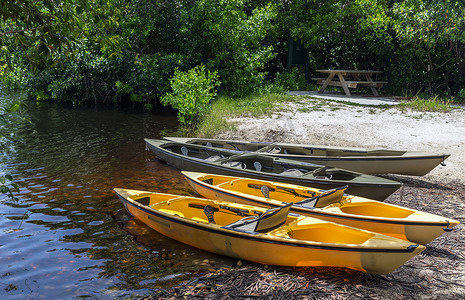 美国国家公园摄影照片_在美国佛罗里达州大沼泽国家公园的红树林隧道中划皮艇