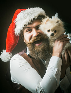 圣诞老人和宠物。