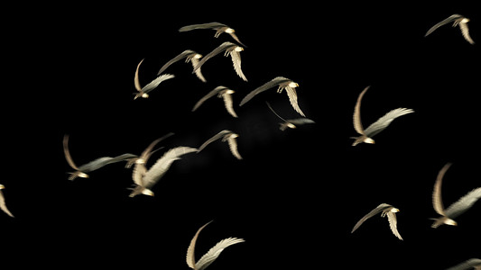 魔法师摄影照片_3d 插图-一群鸟与孤立的天空