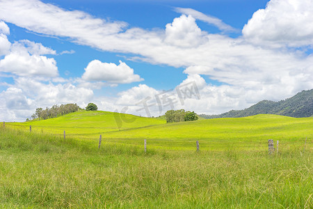 蓝天青草摄影照片_澳大利亚乡村风景