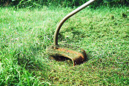 手持式割草机修剪绿色草坪