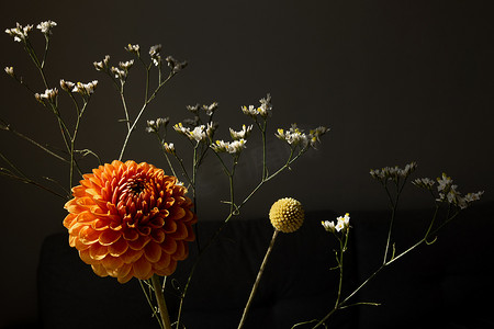 美丽的橙色阳光明媚的大丽花花、黄色的花和白色的干花，现代花束花深色风格的静物画