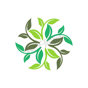 绿叶标志摄影照片_绿叶生态标志模板插图设计。