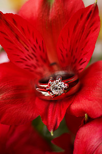 星环摄影照片_一对红色六出花结婚戒指和订婚戒指。