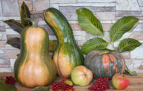苹果静物摄影照片_秋天的静物：南瓜、苹果、荚莲属的植物浆果